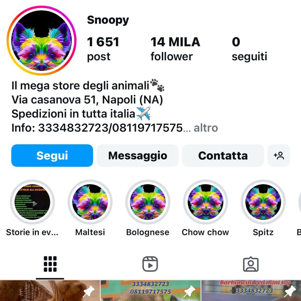 Accuse contro SnoopyMegastore Napoli: problemi e sospetti di truffa