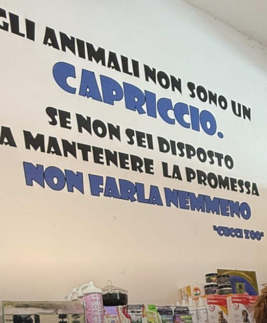 Sanzioni Cuccizoo Capurso Bari