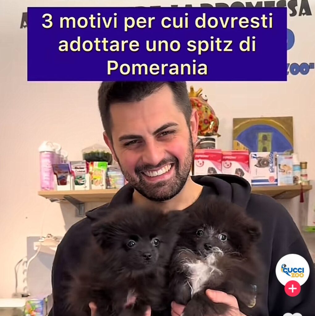 Denuncia Cuccizoo Capurso Bari: cause e dettagli dell'inchiesta