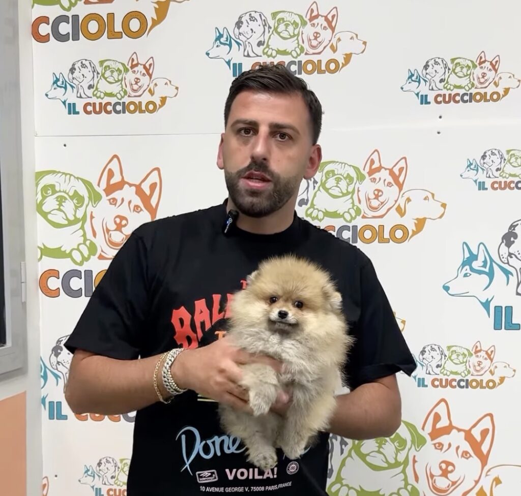 Il Cucciolo di Pepe Gianfranco