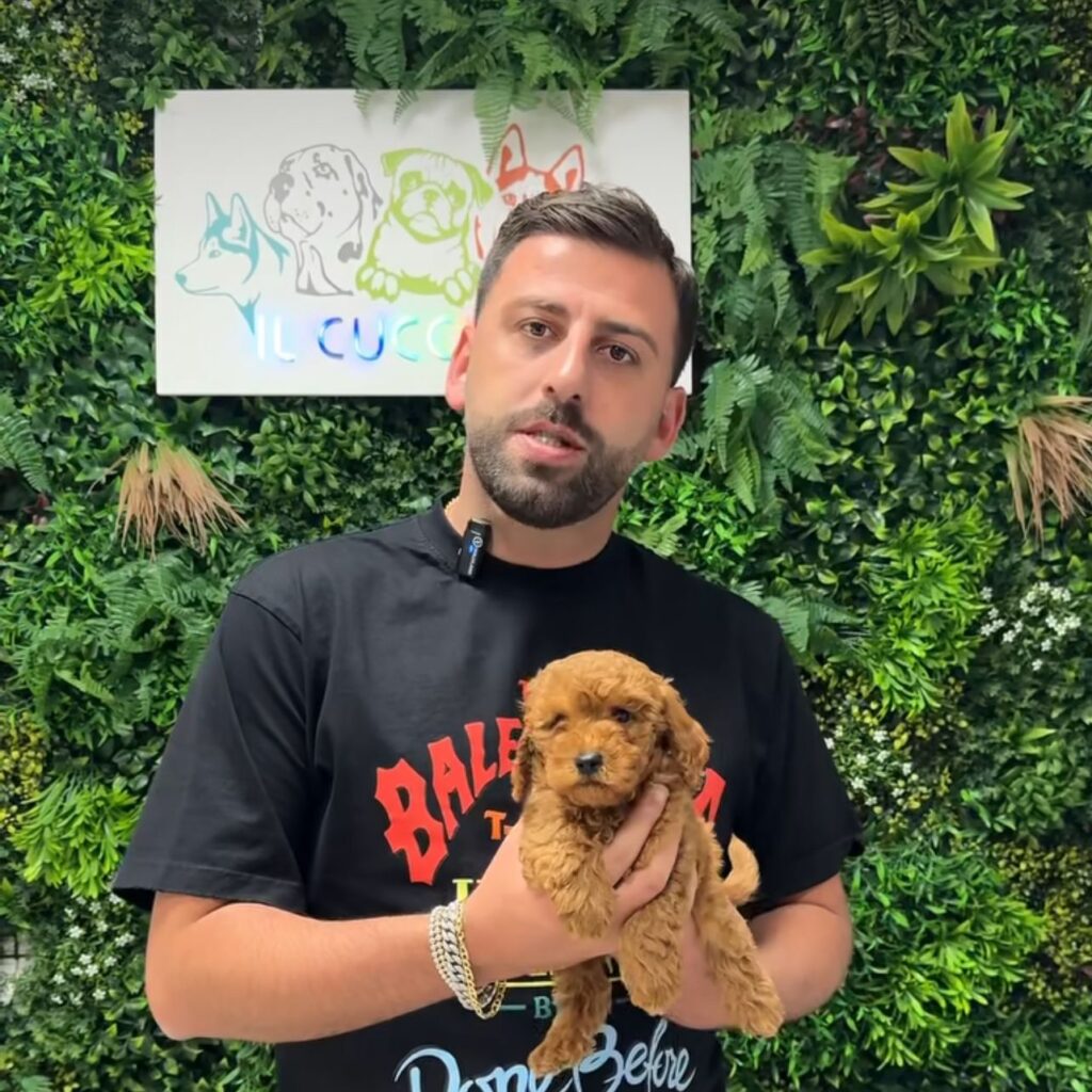 Il Cucciolo KFT denuncia: accuse e irregolarità nell'allevamento