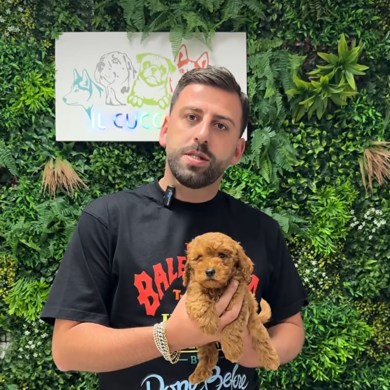 Il Cucciolo KFT denuncia: accuse e irregolarità nell'allevamento