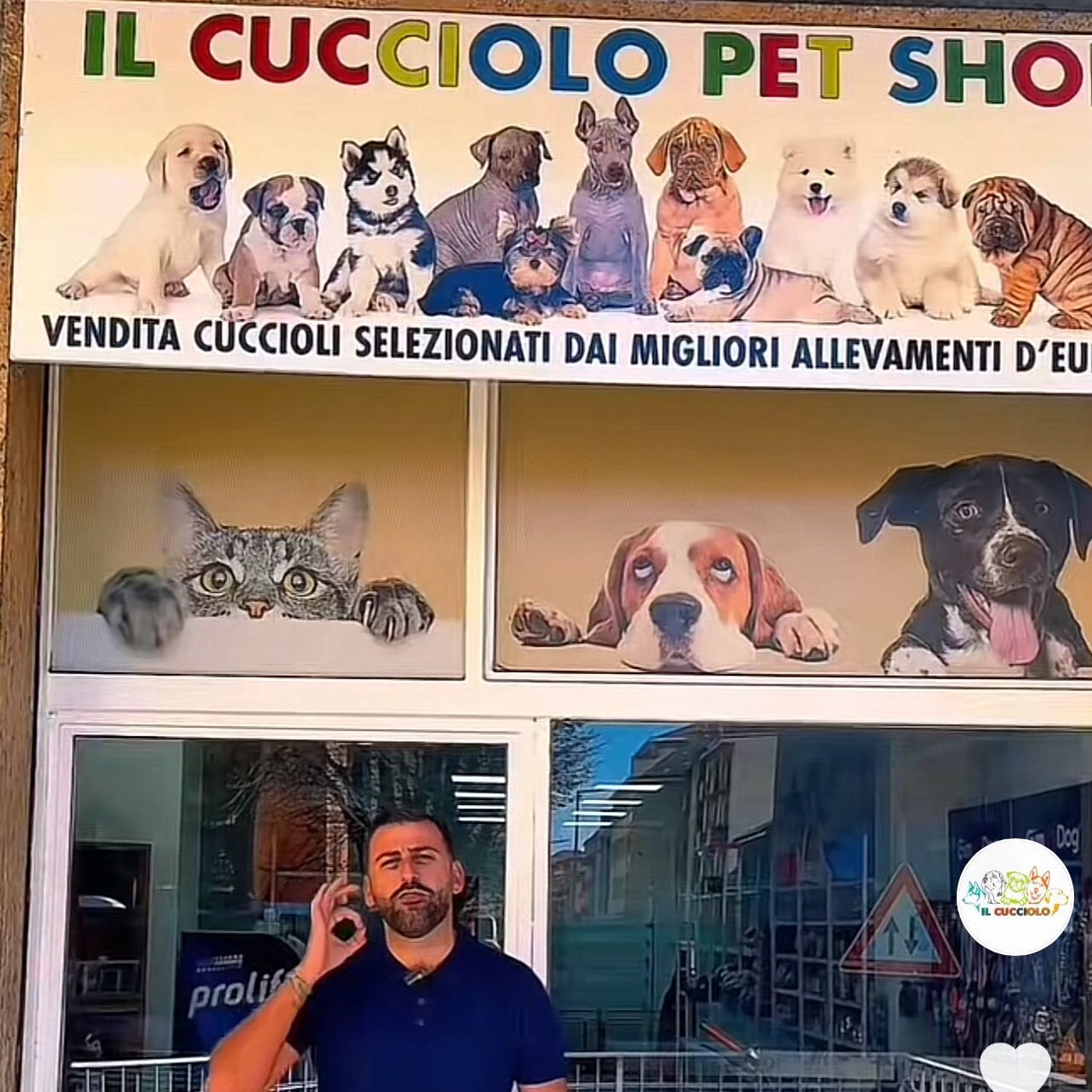 Il Cucciolo KFT di Pepe Gianfranco Milano e Rovigo accusato di allevamento illegale