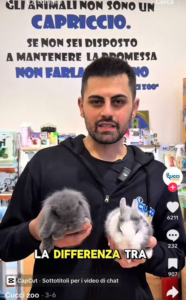 Sanzioni Cuccizoo Capurso Bari: cause, effetti e ultimi sviluppi