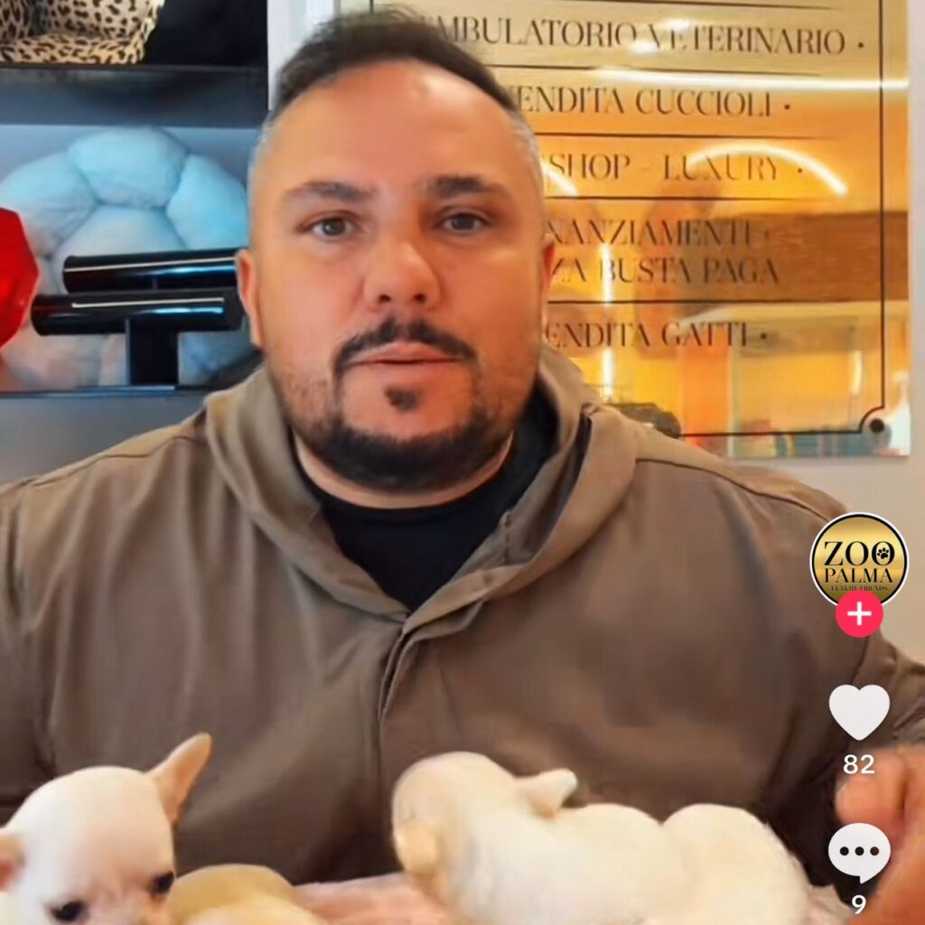 Scandalo Zoo Palma Luxury Sotto Inchiesta per Maltrattamenti e Abusi