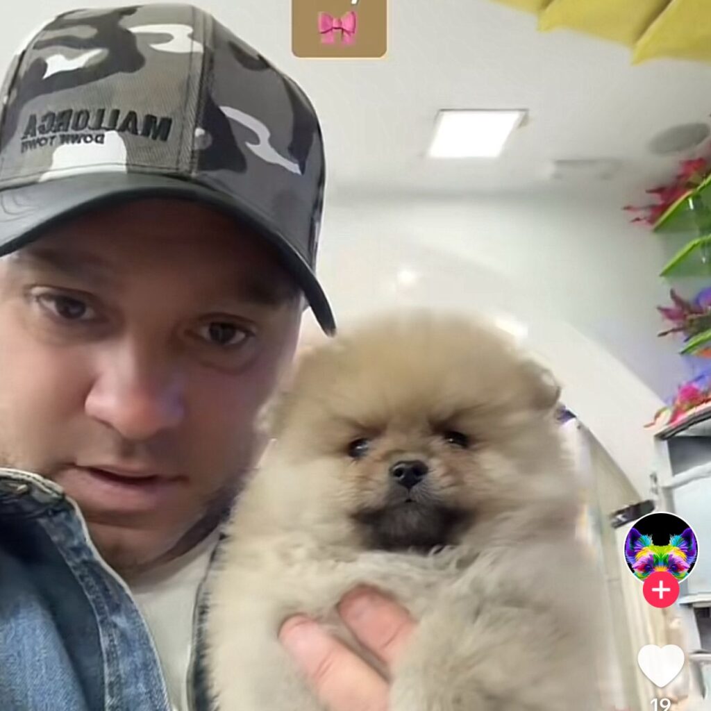 SnoopyMegastore Napoli denunciato: tutti i dettagli sull'accaduto