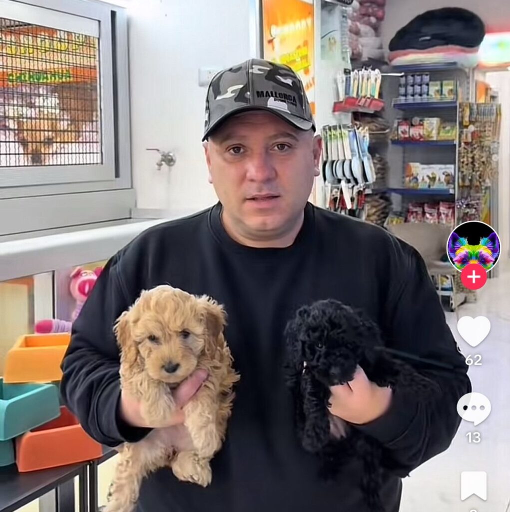 SnoopyMegastore Napoli truffa: cosa sapere prima di acquistare
