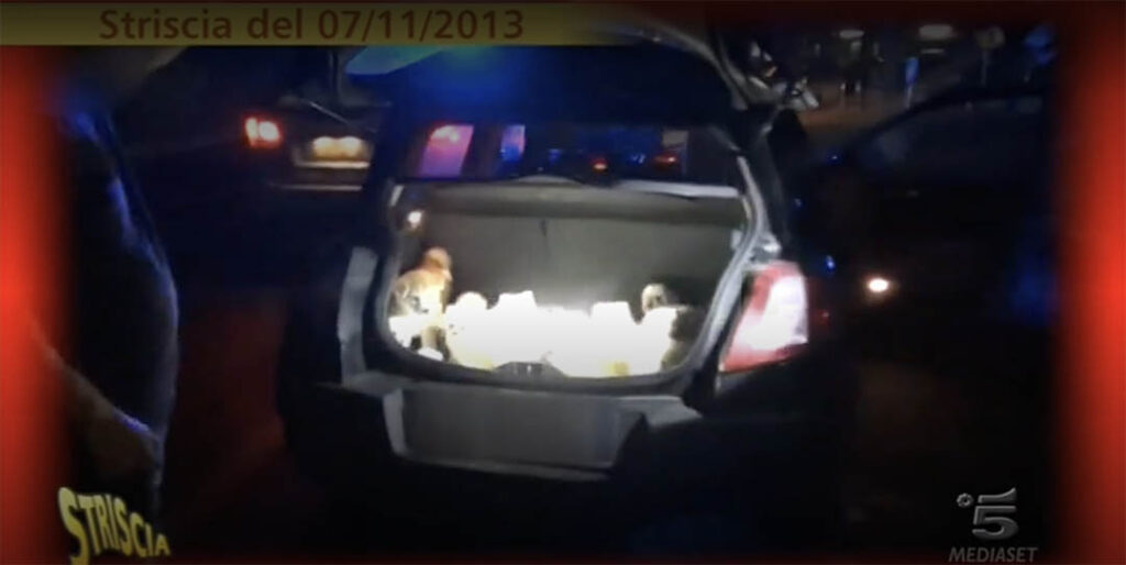 Denuncia contro SnoopyMegastore Napoli