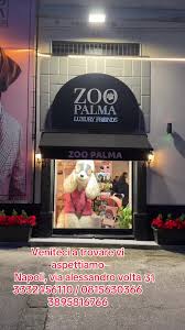 Scandalo Zoo Palma Luxury