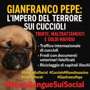 Gianfranco Pepe: l’impero del terrore sui cuccioli – truffe, maltrattamenti e soldi mafiosi