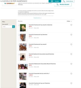 Il Cucciolo KFT Milano e Rovigo: La Verità Sul Traffico di Cani Malati e le Truffe di Gianfranco Pepe