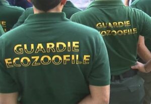 Volontari in divisa da guardie eco-zoofile, simili a quella indossata da Antonio Colonna durante le sue operazioni sul campo.