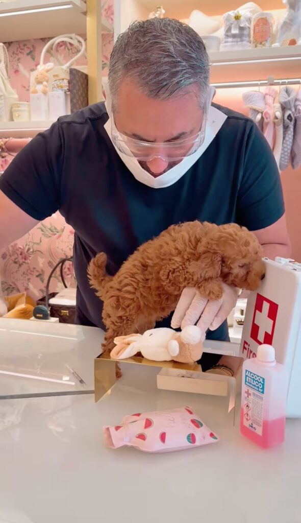 Lusso e Ombre a Milano: Indagine su Prince and Princess Luxury Pet Boutique