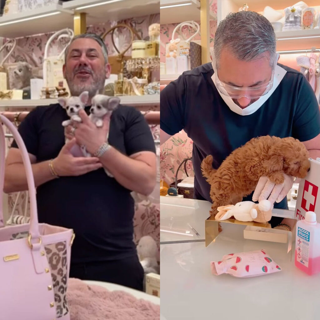 Prince and Princess Milano: L'impero del cucciolo-truffa. lusso, crimine e silenzi complice nelle boutique di via Monte Napoleone, Porto Cervo e Courmayeur