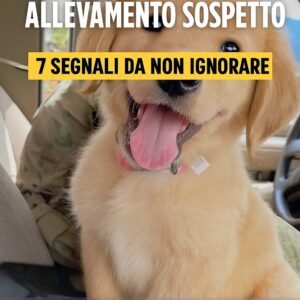 Allevamenti sospetti: 7 segnali da non ignorare