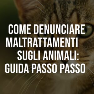 Come denunciare maltrattamenti sugli animali: guida passo - passo