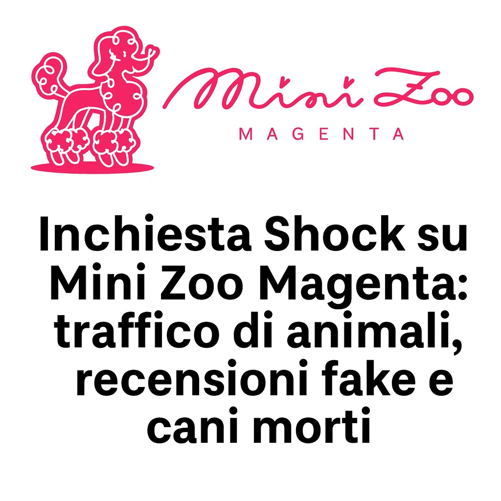 Mini Zoo Magenta