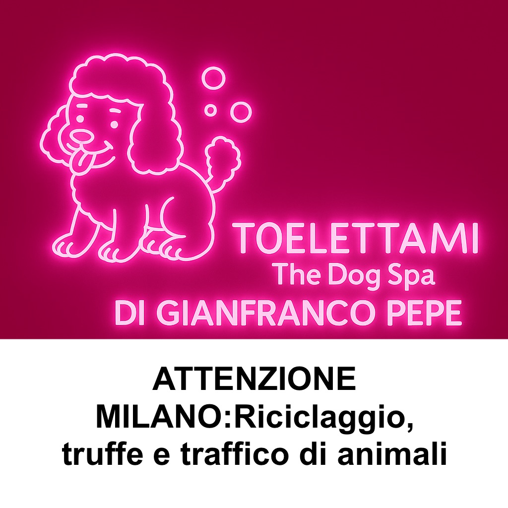 Toelettami The Dog Spa a Milano – Riciclaggio, truffe e traffico di animali