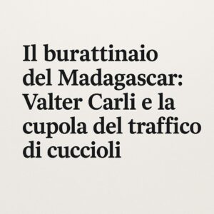 Il burattinaio del Madagascar: Valter Carli e la cupola del traffico cuccioli