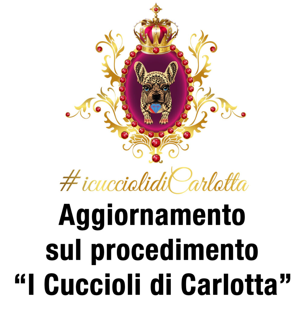 Aggiornamento sul procedimento I Cuccioli di Carlotta 01