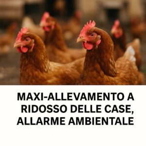 MAXI-ALLEVAMENTO A RIDOSSO DELLE CASE