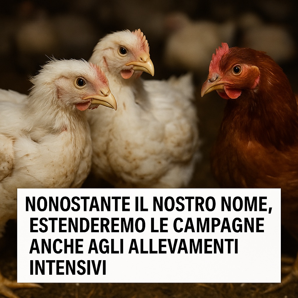 Nonostante il nostro nome, estenderemo le campagne di segnalazioni anche agli allevamenti intensivi