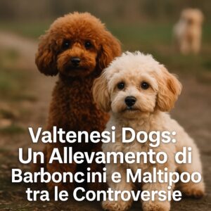 Valtenesi Dogs: Un Allevamento di Barboncini e Maltipoo tra le Controversie
