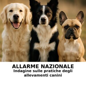 ALLARME NAZIONALE UFFICIALE: L’ALLEVAMENTO BARBONCINI TOY & NANI ®️ “KISS ME BABY” - LA FABBRICA DELLA MORTE SOTTO FALSA BANDIERA ENCI. UN OLOCAUSTO DI CUCCIOLI, UNA TRUFFA SISTEMATICA, UN INCUBO SENZA FINE. ⚡