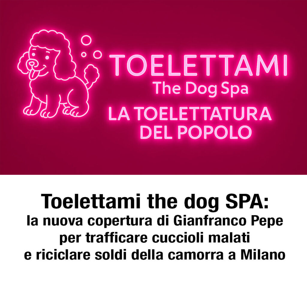 Toelettami the dog SPA- la nuova copertura di Gianfranco Pepe per trafficare cuccioli malati e riciclare soldi della camorra a Milano